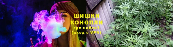 PSILOCYBIN Арсеньев