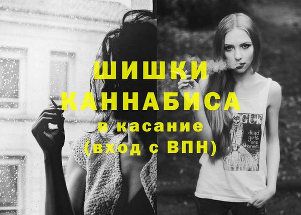 винт Армянск